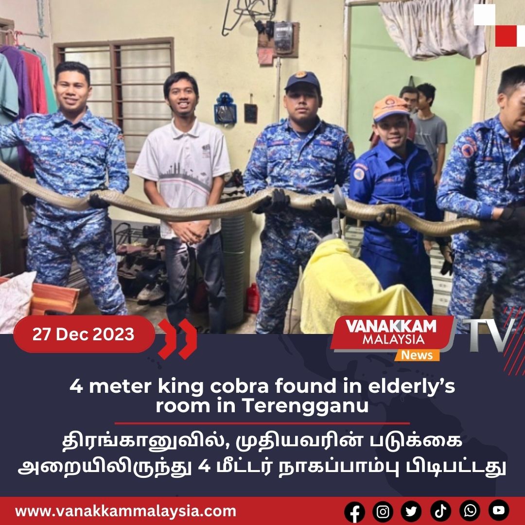 vmnews's tweet photo. 4 meter king cobra found in elderly’s room in Terengganu

#latest #vanakkammalaysia #4meter #king #cobra #found #elderly #room #Terengganu #trendingnewsmalaysia #malaysiatamilnews #fyp #vmnews https://t.co/DPoCAaQWtn