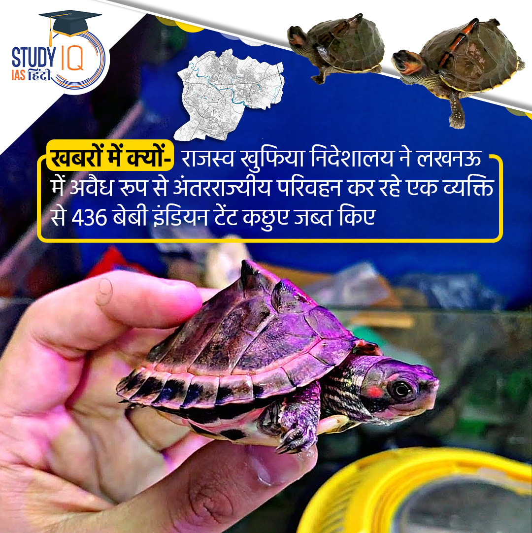upsciq's tweet photo. Indian Tent Turtles
#IndianTentTurtles #TentTurtles #India #UPSCPRE2024 #IAS #IASPRE #UPSC
#IASPRE #UPSC #UPSC #IAS #IASPRE #UPSC #currentaffairs #news #STUDYIQ
#UPSC2024 #UPSCPRE2025 #IAS #IASPRE #UPSC https://t.co/dUvMAYGFPW