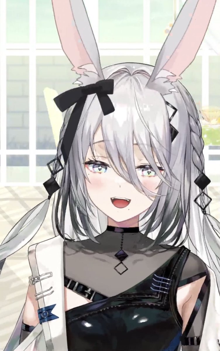 うさぎさんと、猫ちゃんと、ブランカちゃん！！！かわいいんだぁあ