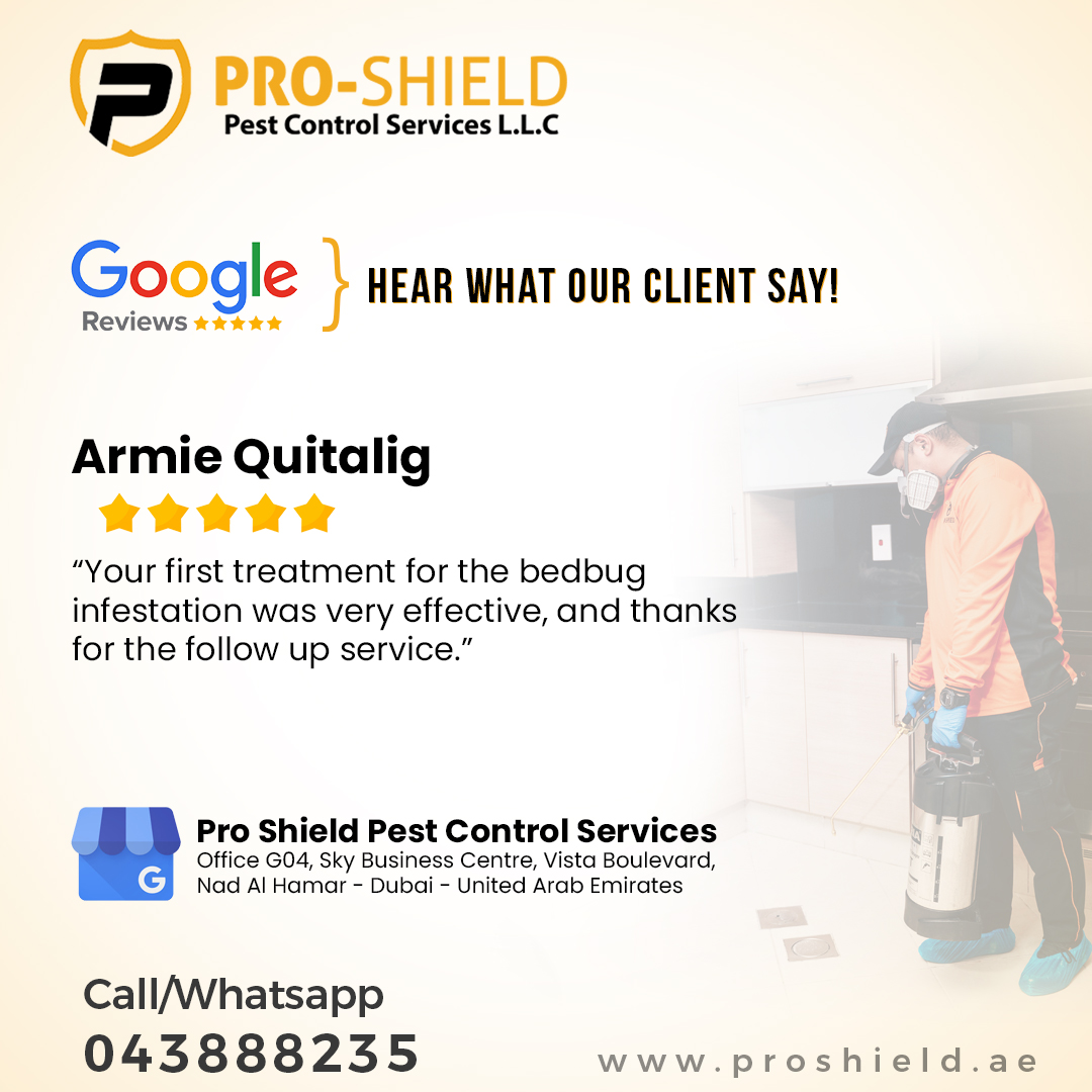 proshielduae's tweet photo. Hear out what our clients say! https://t.co/E2CsWrcUDe

#pestcontroldubai #professional #pest #control #pestcontrol #dubai #dxb #dubailife #dubaipestcontrol #dubailifestyle #pestcontrolservice #pestcontrolservices #pestcontrolprofessionals #roaches #mice #bedbugs #ants #termites https://t.co/gdEf5mr6JI