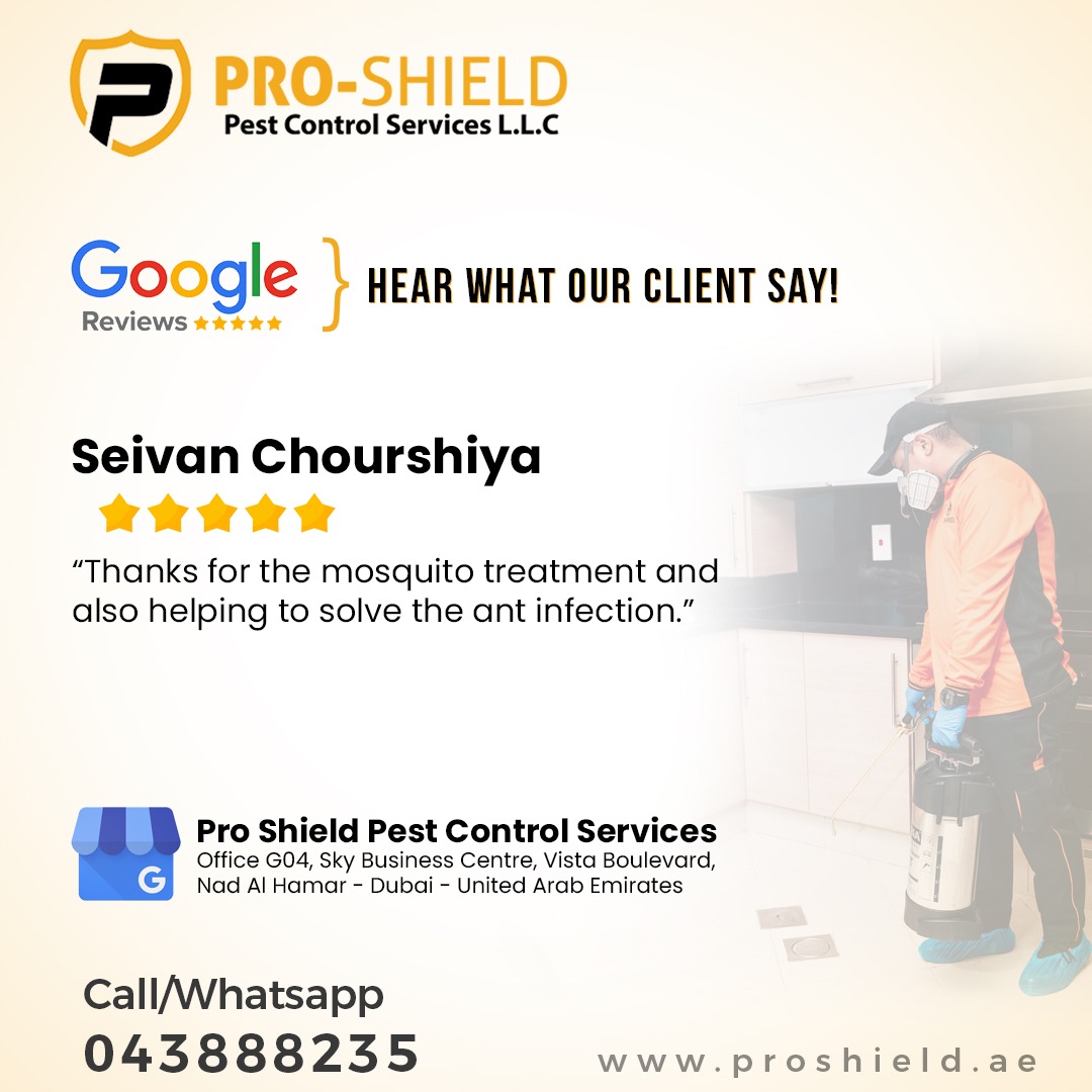 proshielduae's tweet photo. Hear out what our clients say! https://t.co/E2CsWrcUDe

#pestcontroldubai #professional #pest #control #pestcontrol #dubai #dxb #dubailife #dubaipestcontrol #dubailifestyle #pestcontrolservice #pestcontrolservices #pestcontrolprofessionals #roaches #mice #bedbugs #ants #termites https://t.co/gdEf5mr6JI