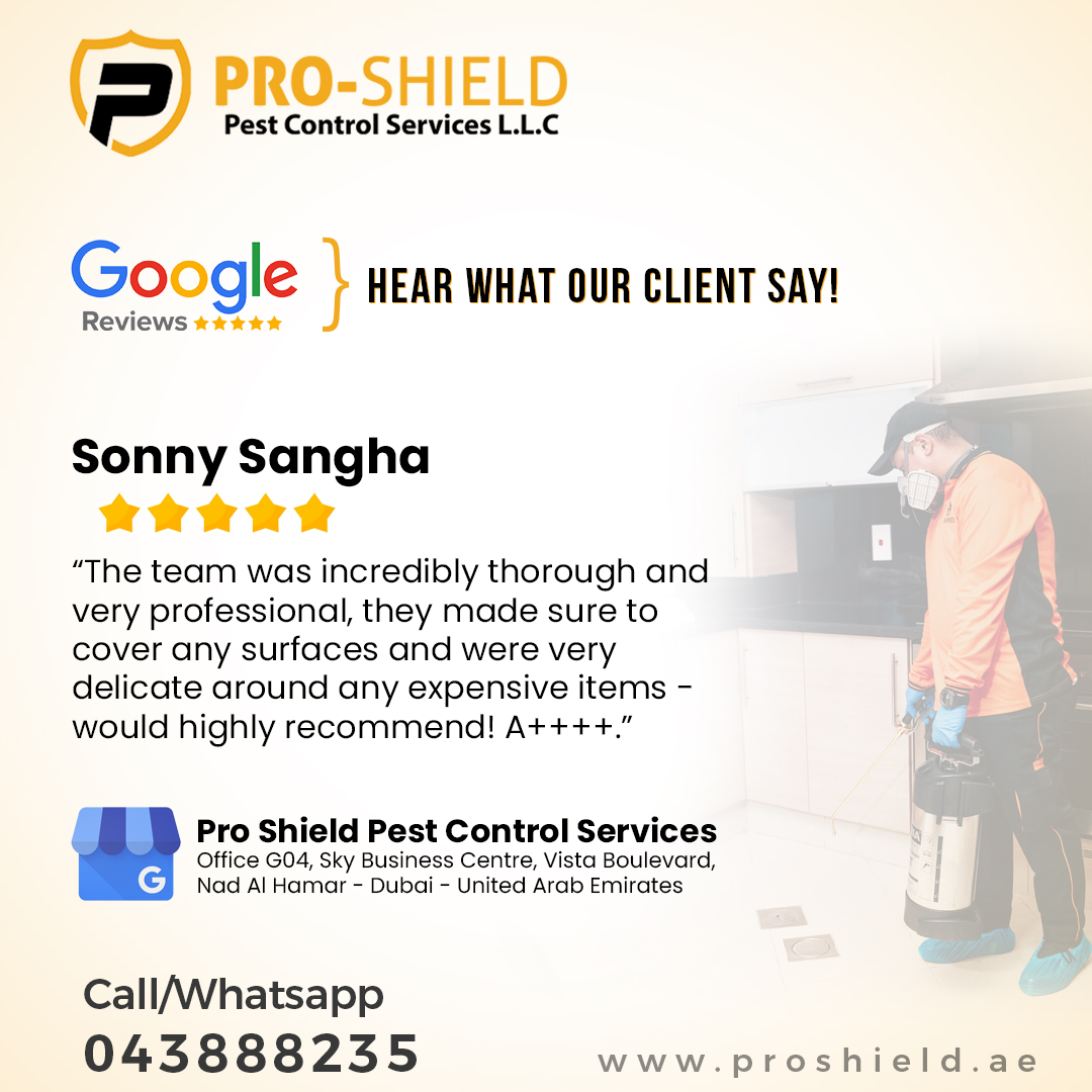 proshielduae's tweet photo. Hear out what our clients say! https://t.co/E2CsWrcUDe

#pestcontroldubai #professional #pest #control #pestcontrol #dubai #dxb #dubailife #dubaipestcontrol #dubailifestyle #pestcontrolservice #pestcontrolservices #pestcontrolprofessionals #roaches #mice #bedbugs #ants #termites https://t.co/gdEf5mr6JI