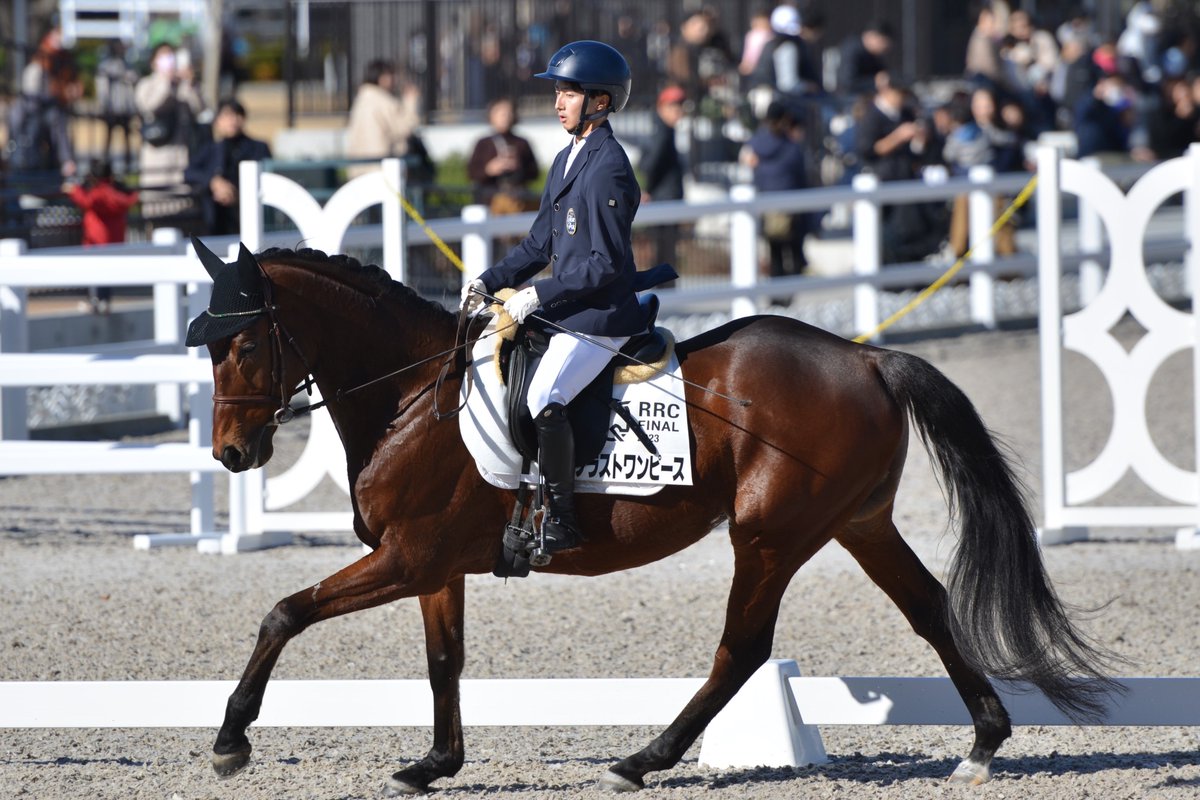 northern_horse's tweet photo. 12/17（日）JRA馬事公苑で開催された「RRC引退競走馬杯ファイナル大会」に出場したダノンキングダムとブラストワンピース。地域予選を通過し、目標としていたファイナルで2頭は元気な姿をファンの皆さまに披露することができました。
これからも躍進するサラブレッドたちを応援してくださいね！ https://t.co/y5Q9X230CO