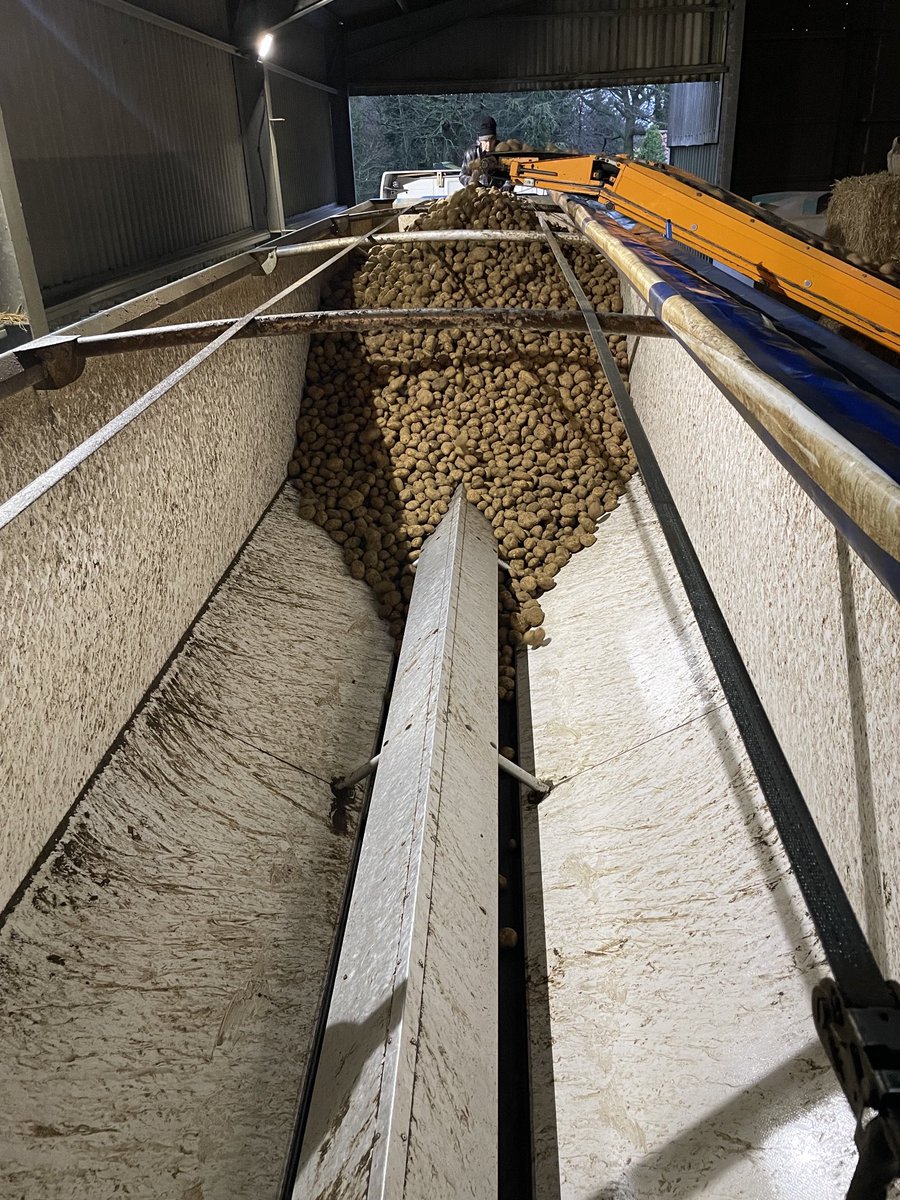 Henry Catling tweet media