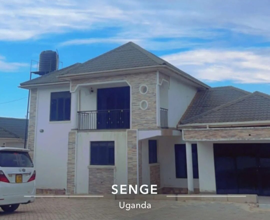 ✞ Sᴜɴᴅᴀʏ tweet media