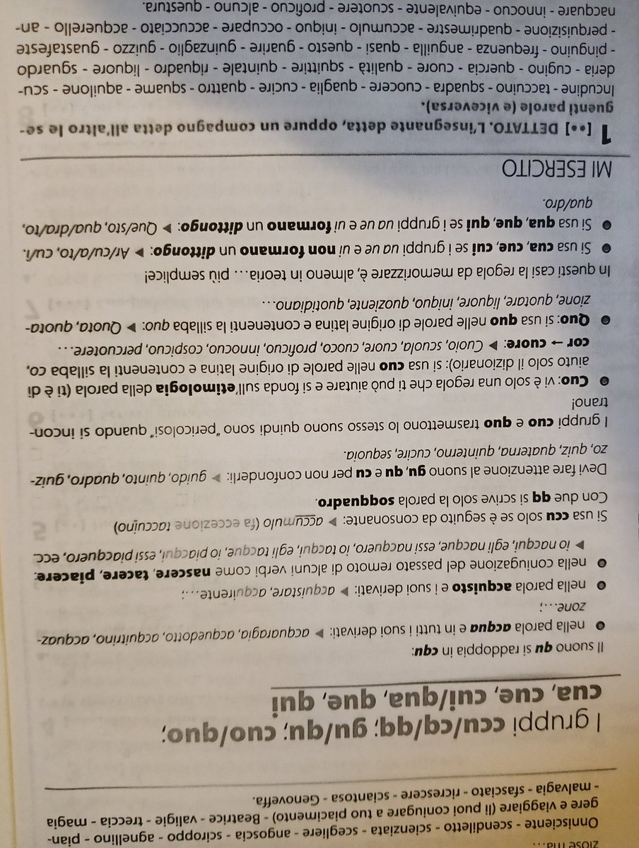 Mynkulo's tweet photo. Ditemi voi se questi sono compiti delle vacanze per un ragazzo di prima SUPERIORE 
Inculatevi vah, che grandissima presa per il culo https://t.co/Ujf8N9sbdK