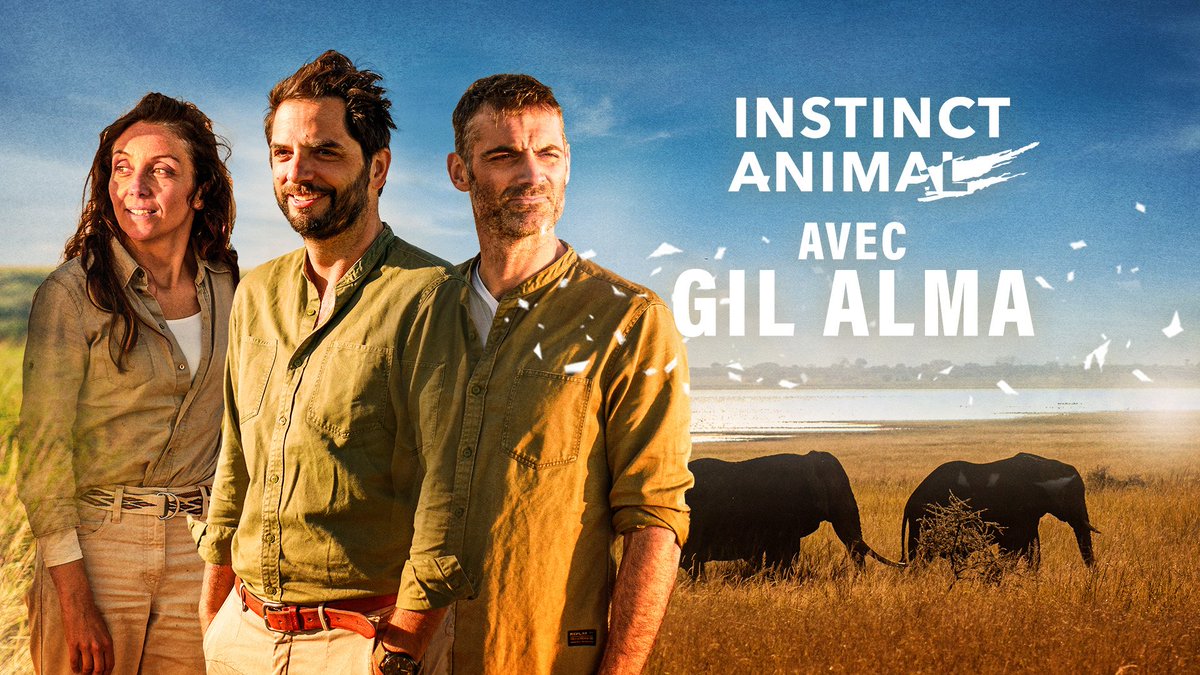 RomainActuTV's tweet photo. Hier, l'émission #InstinctAnimal a rassemblé 1,2M de téléspectateurs soit 6,6%Pda sur #France2 ! 

⏪ Semaine dernière : 1,6M - 7,8%Pda - 3% des FRDA-50 ans (L'affaire Jeanne D'arc)
⏪️ Précédent numéro : 2,4M - 13,2%Pda https://t.co/0yHEcHLyUH