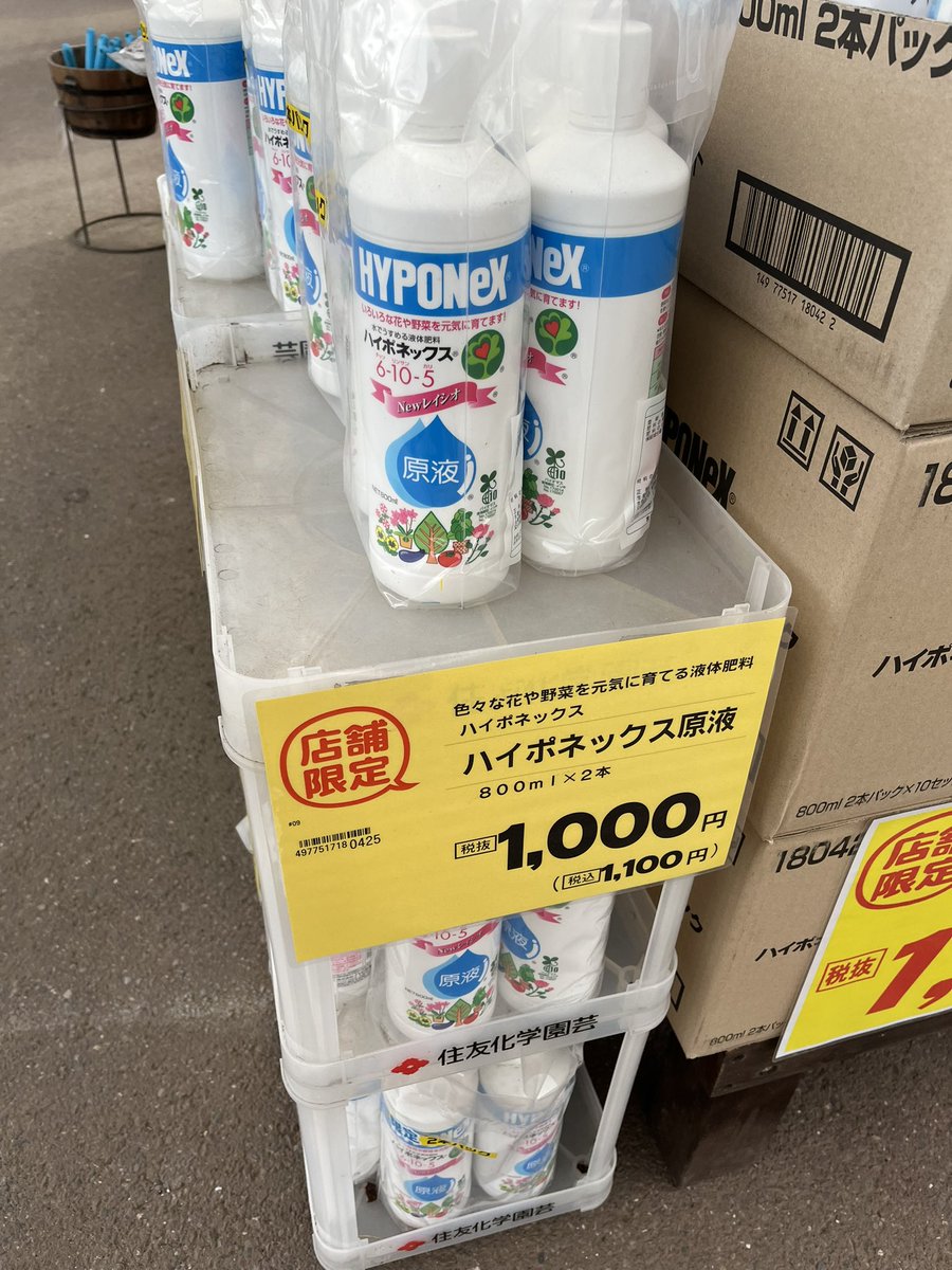 kikicoaching's tweet photo. ベランダの日々草は未だ元気で

ようやく今日パンジー購入。

ハイポネックスがあればなんとかなるよ、きっと。 https://t.co/Wk9SqFibqg