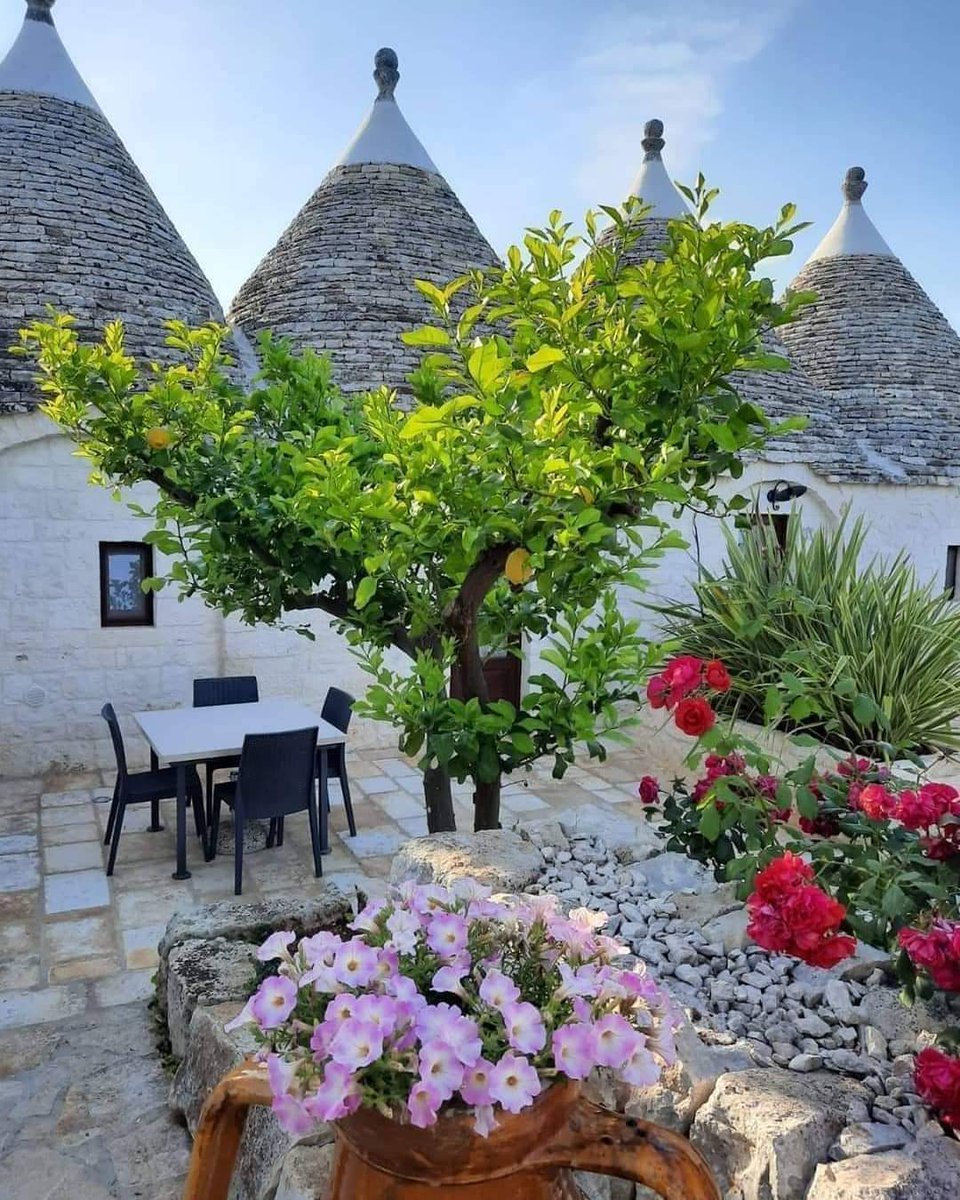 AnsarArooma's tweet photo. Hello.....pretty people 🌹🌿☕🌿☀️🌿💖 https://t.co/kTtUfCKnzf