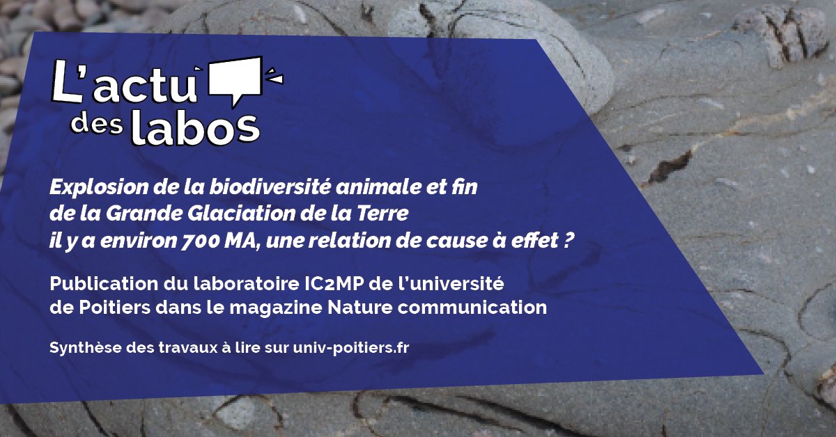 [L'actu des #labos 🔬]
Découvrez les derniers travaux de recherche de l'équipe internationale, co-animée par <a href="/A_El_Albani/">Abder EL ALBANI</a> de <a href="/univpoitiers/">Université de Poitiers</a>, @ic2mp <a href="/cnrs/">CNRS 🌍</a>, publiés dans le magazine <a href="/NatureComms/">Nature Communications</a>.
univ-poitiers.fr/explosion-de-l…