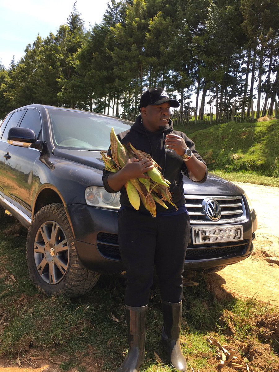 kenyaaxis's tweet photo. Good morning from the farm, ndo natafuta za Githeri . https://t.co/uWfVketJuR