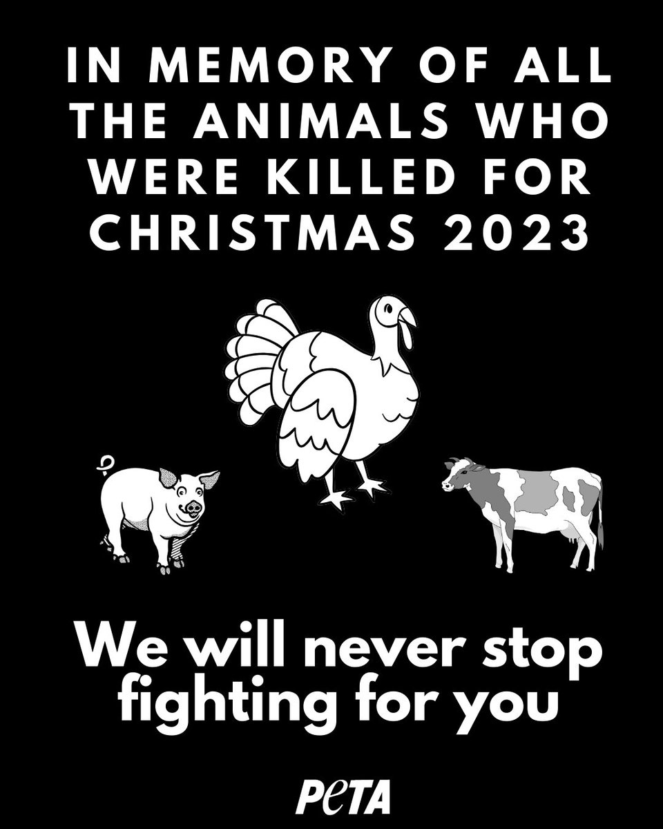 PETAUK's tweet photo. Thank you to everyone who saved lives by having a vegan Christmas 💚 https://t.co/Ls3l4XBNkb