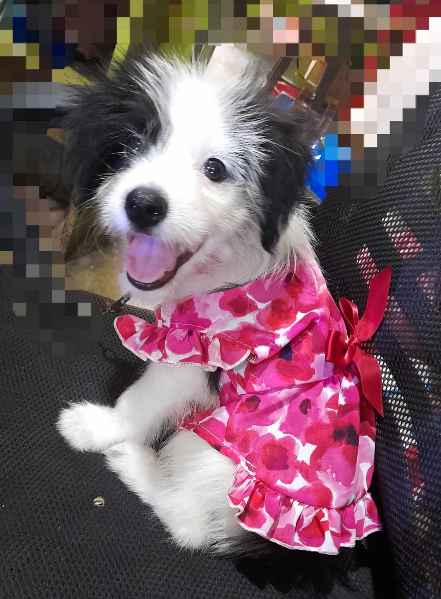 Our new baby 😍