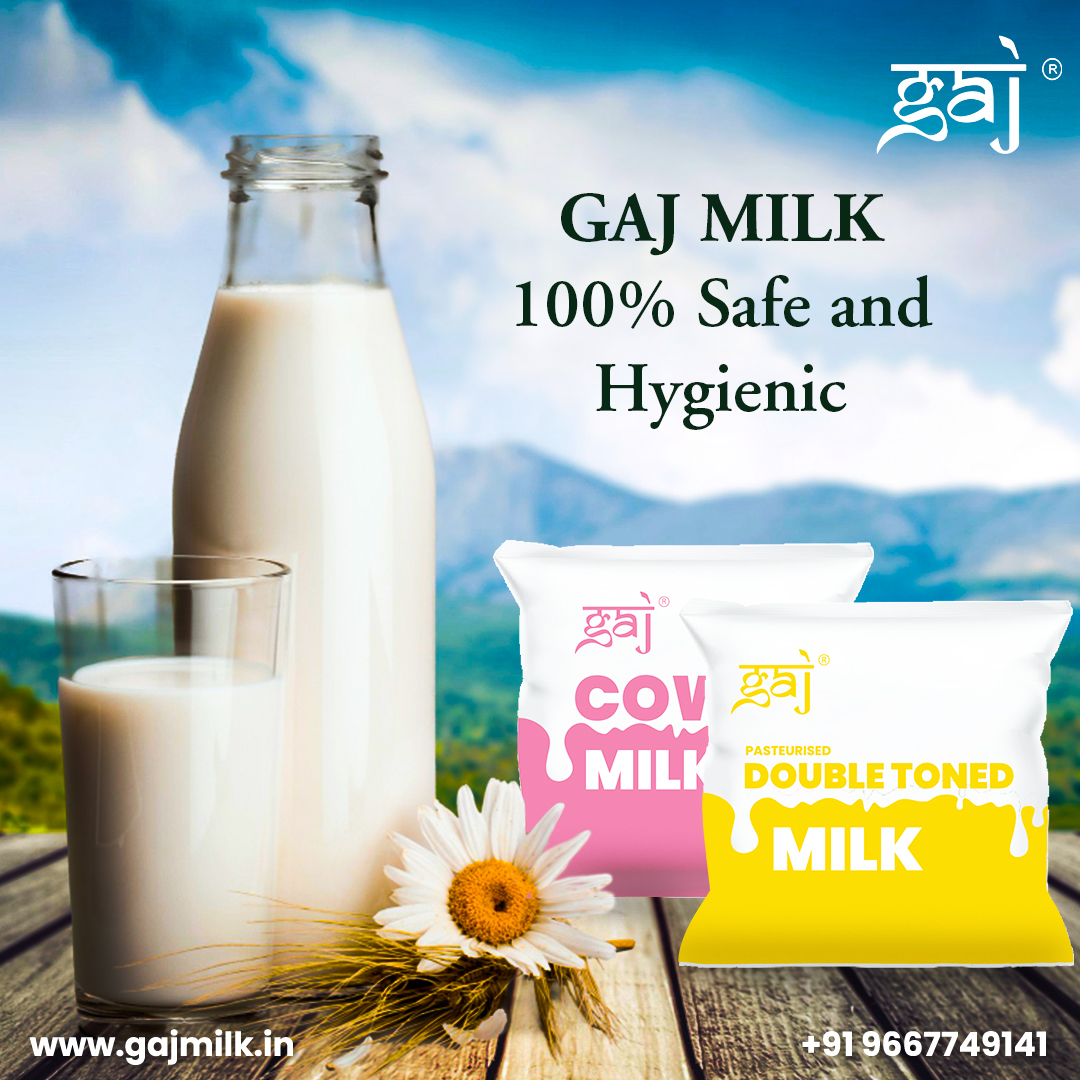 Cheers to the pure and refreshing delight of Gaj Milk, making every sip a moment of bliss! 🥛💫
.
.
.
.
.
️#Gaj #GajMilk #GajDairy #DairyLove #FarmLife #DelhiNCR #Haryana #Milk #Foodie #FreshMilk #Immunity #Safe #Hygienic #Healthy #HealthlyLife