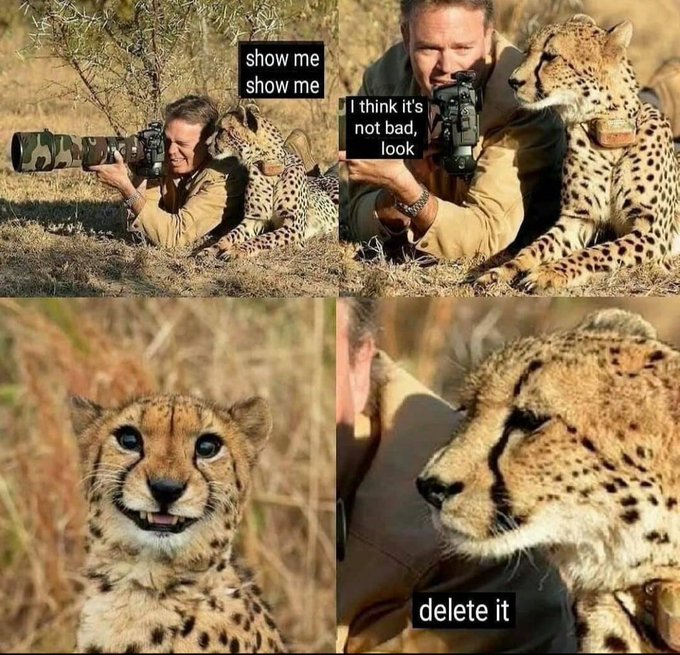#CatsLovers #CatsAreFamily #CatsOnTwitter