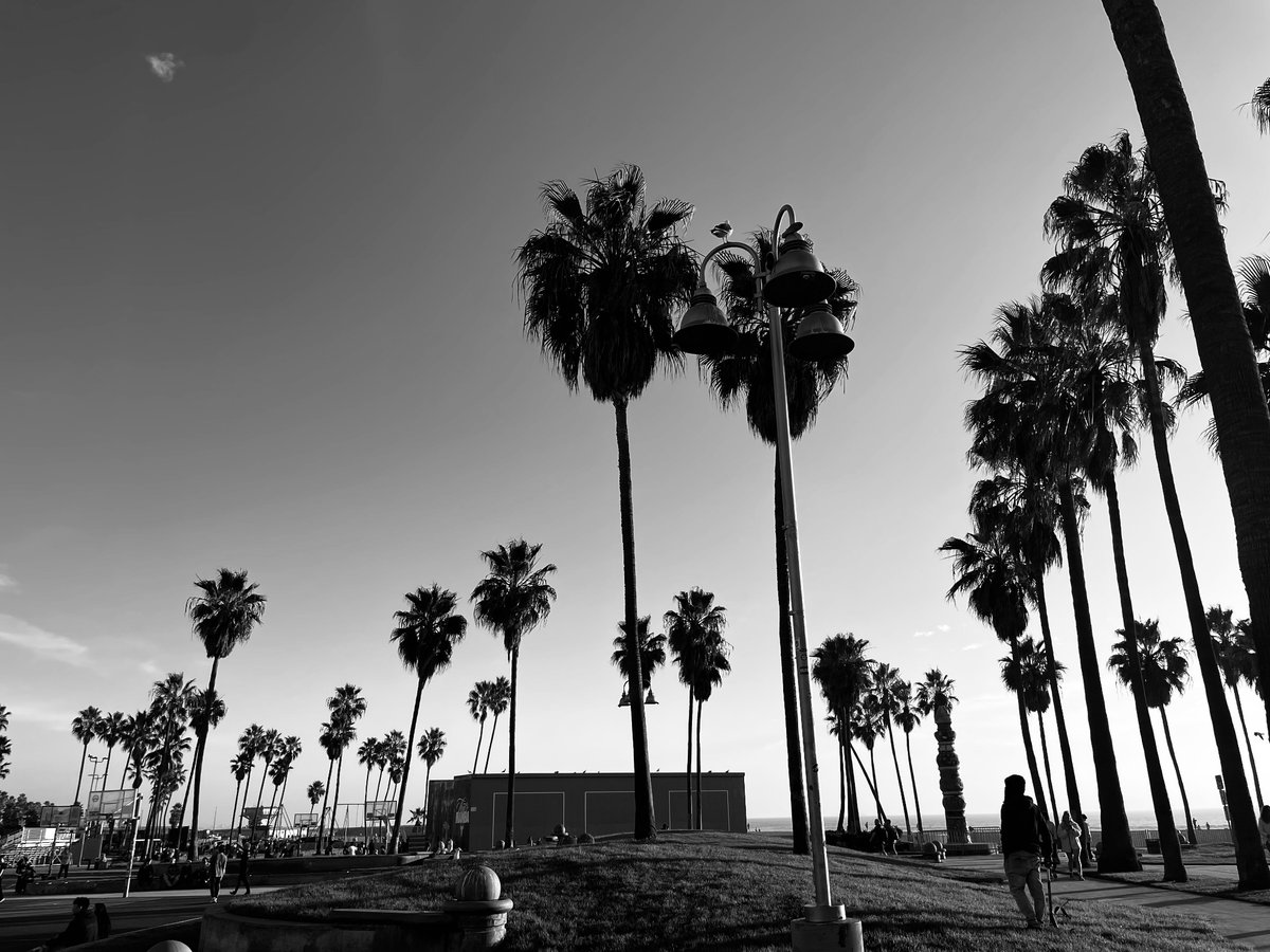 Bugg_JW's tweet photo. Venice beach courts on Boxing Day https://t.co/jCdotHjeVc