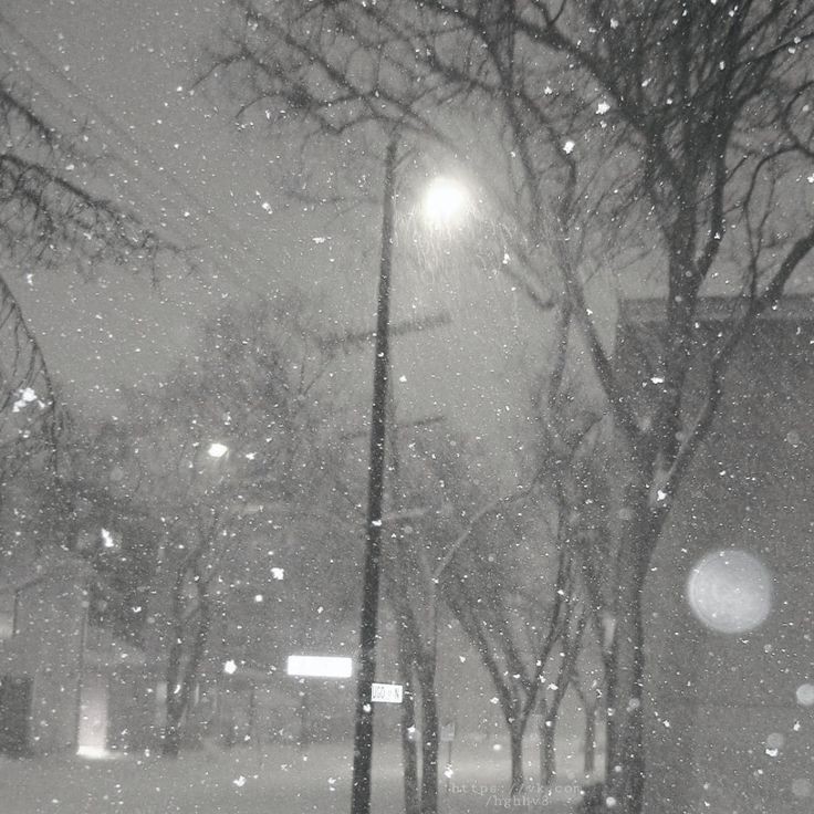 karerenha's tweet photo. ESPECIAL HEEJAKE —☆ En la Luna de Nieve 
#HeeJake #SunSun #au

ESPECIAL DE TE LLEVARÉ A LA LUNA. NO LEER SI ANTES NO HAS LEÍDO TE LLEVARÉ A LA LUNA.

—Si enamorarme fue tu propósito, te diré que viajaría a la luna mil y una veces. https://t.co/NzwMF0h2vG