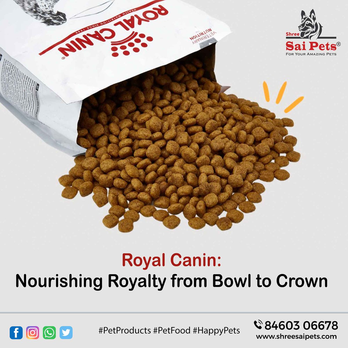 ShreeSaiPets's tweet photo. Royal Canin offers unique solutions that provide tailored nutrition specific to your pet’s breed, size, and life stage. Shop in store today
📍 Nikunj | +91 8460 30 6678
#PetFood #PetAccessories #PetStyle #BestFriend #PetsWear #PetProducts #PetAccessories #PetsCloth #ShreeSaiPets https://t.co/D7465vZgYY