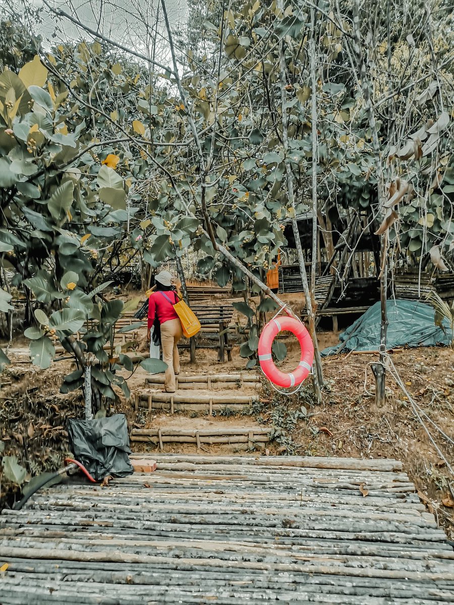 adda2644's tweet photo. Gambar tak byk, sebab semua habis bateri. 📱

Nanti repeat, jom sape nk ikut angkat tangan 🙋‍♀️

📍Raptor Nest Campsite, Sireh Park Iskandar Puteri Johor. 

#nature #naturelover #camping #campers #campvibes #campingmalaysia #calmandpeaceful #raptoroutdoor #raptornestcampsite https://t.co/YtvGjRSCh0