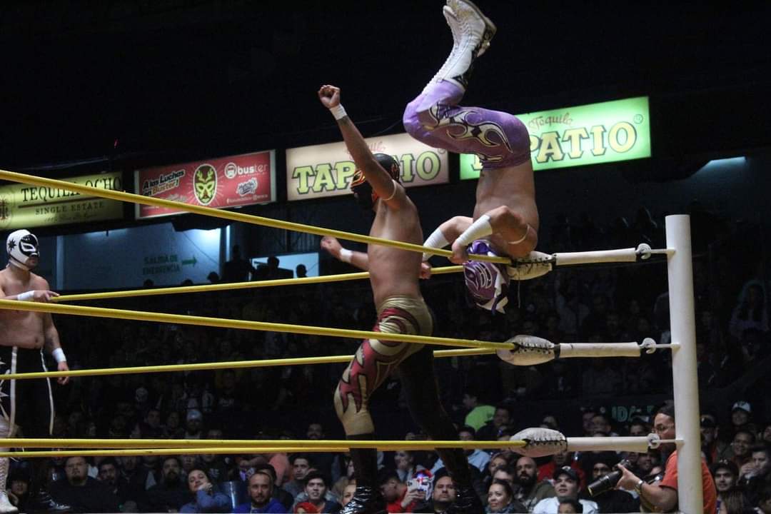 ArenaColiseoGDL's tweet photo. Con el excepcional respaldo de Astro Oriental, Gallo Jr y Rafaga Jr; el Príncipe Dragón hace su debut en la Arena Coliseo y derrotan a los Calavera Jr I y II, Temerario y Eclipse Jr; en la segunda lucha de esta noche.

🖥 Sigue la transmisión en Facebook y YouTube https://t.co/fnlyfiAQLZ