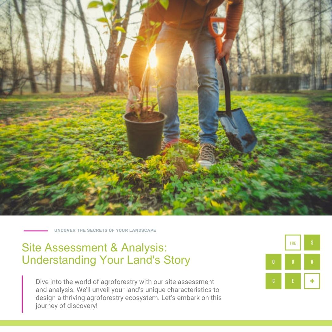 Site Assessment &amp; Analysis: Understanding Your Land's Story

Dive into the world of agroforestry with our site assessment and analysis. We'll unveil your land's unique characteristics to design a thriving agroforestry ecosystem. <a href="/ICRAF/">World Agroforestry</a> <a href="/FAO/">Food and Agriculture Organization</a> <a href="/BeeConservancy/">Honeybee Conservancy</a> <a href="/BioversityInt/">Bioversity International</a>