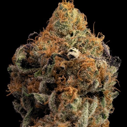 Cake mix
#WeedLover #weedforsale #cannabisculture #cannabis #Cannabisforsale #onlythebest #bestcannabis