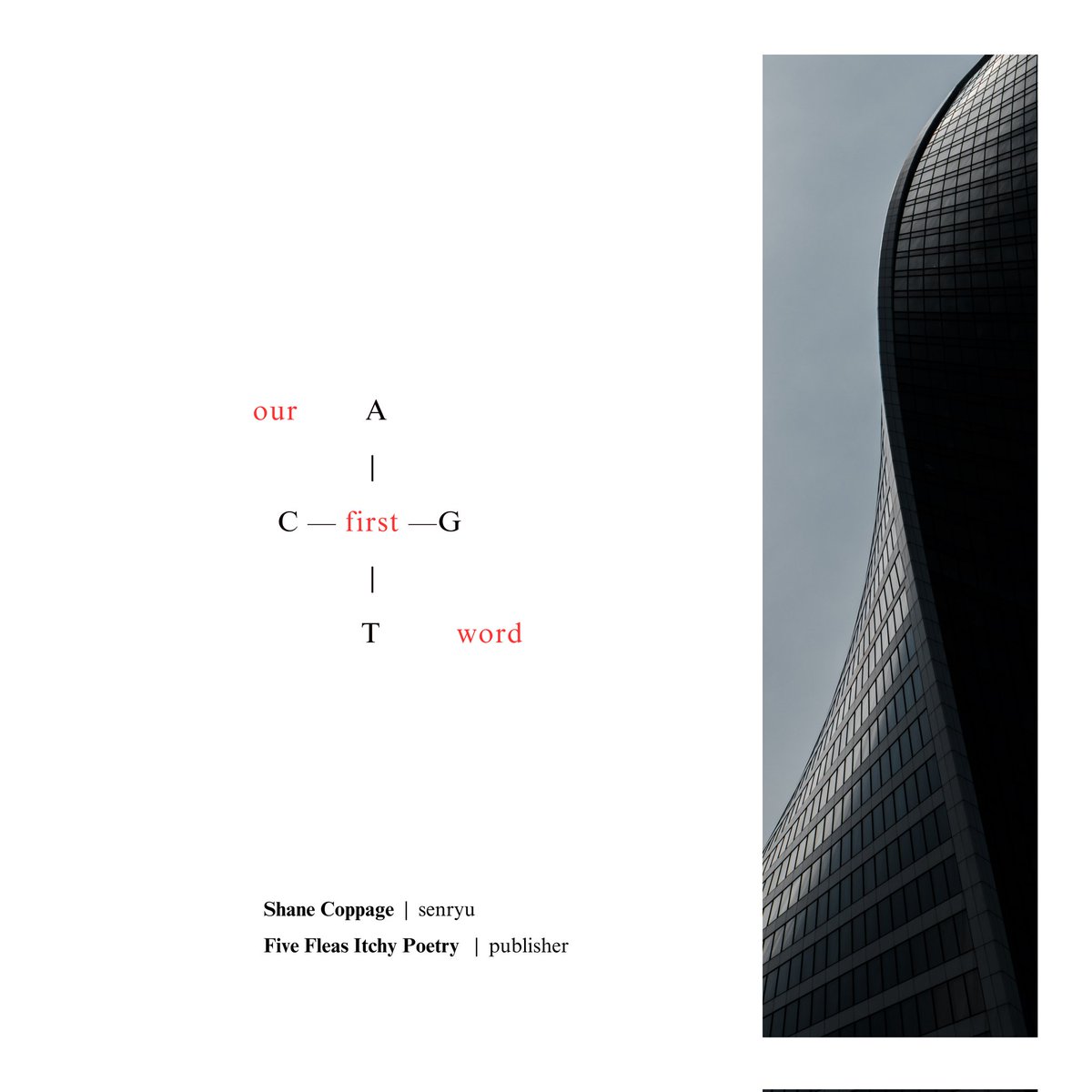 Shane Coppage tweet media