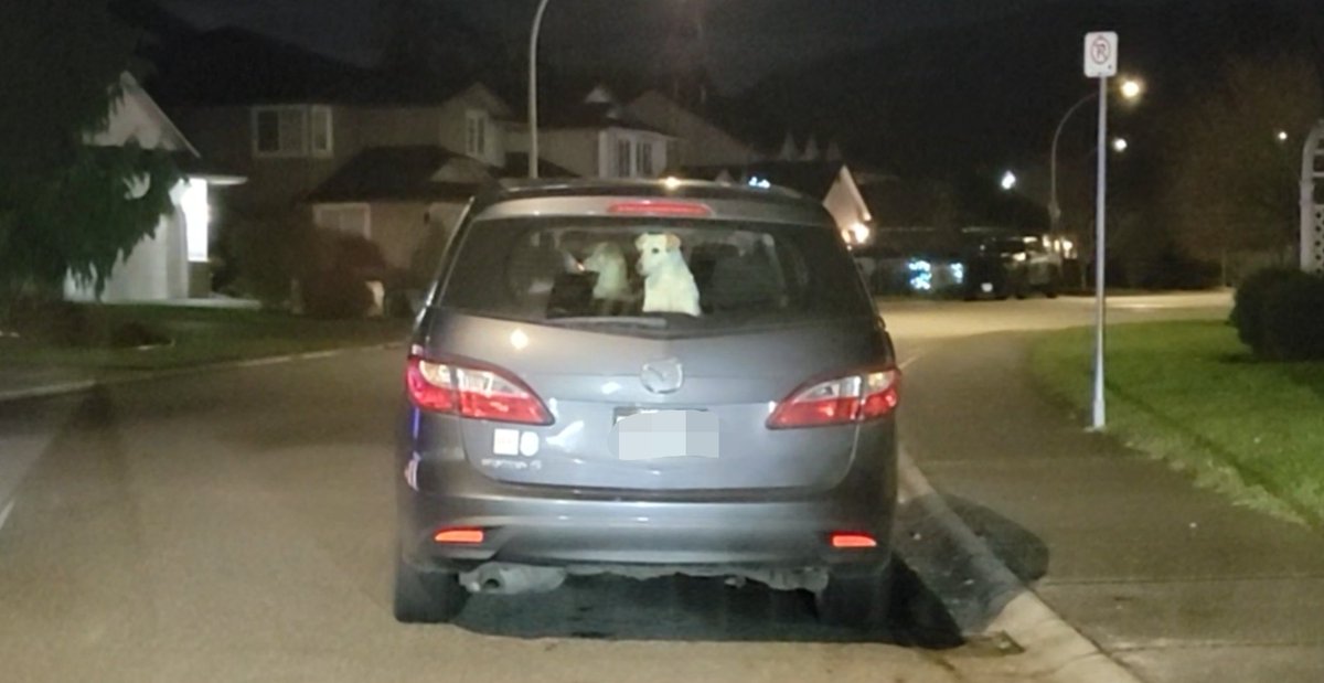 Diamond Crescent Musical  Christmas Lights tweet media