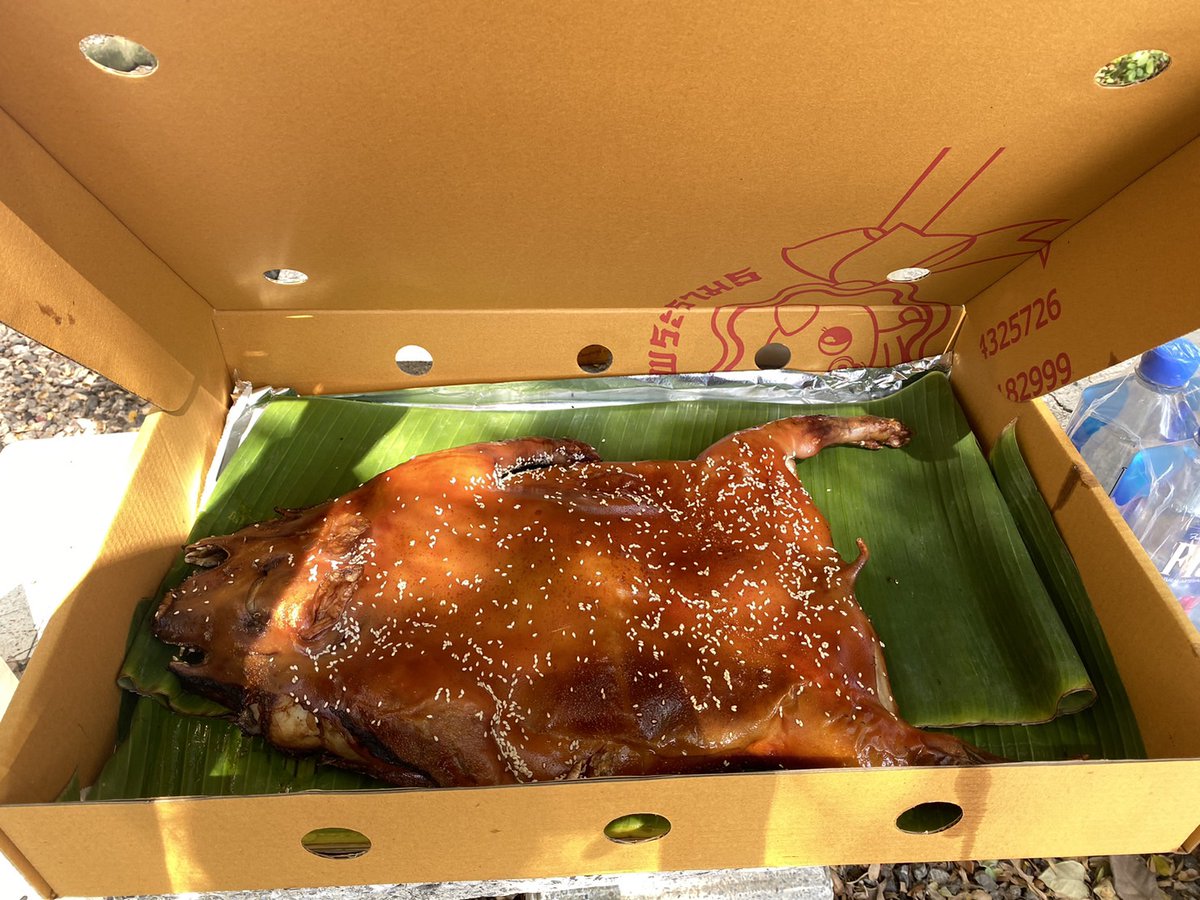 ppnaravit_home's tweet photo. Food Support #WeAreSeries Q12

มีเมนูพิเศษมาให้เจ้าปอนด์และทุกคนด้วยจ้า 😋

🐖 หมูหัน 1 ตัว

มาเติมพลังให้เต็มที่กันเลยน้าาาา 🫶

✨ ขอขอบคุณผู้สนับสนุนด้วยค่า 🙏

@ppnaravit 
#ppnaravit https://t.co/KgcOSYqdFz