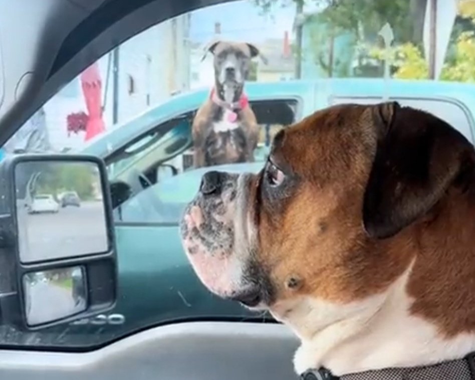 Curtis E. Flush💪🏾🧀🦌🍺 (@miltown_mitch) on Twitter photo 