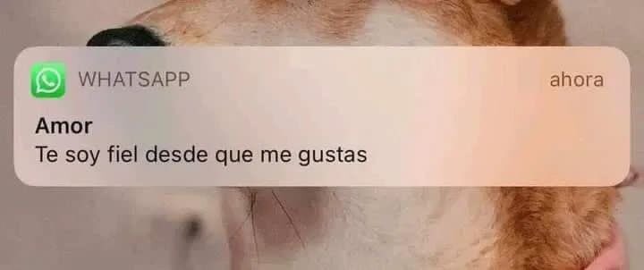 nadie: 
yo en el amor: