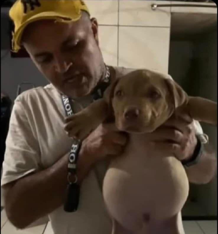 no era leche deslactosada