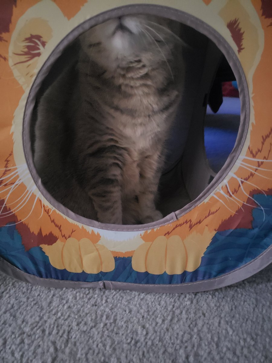 Dru and Blue tweet media