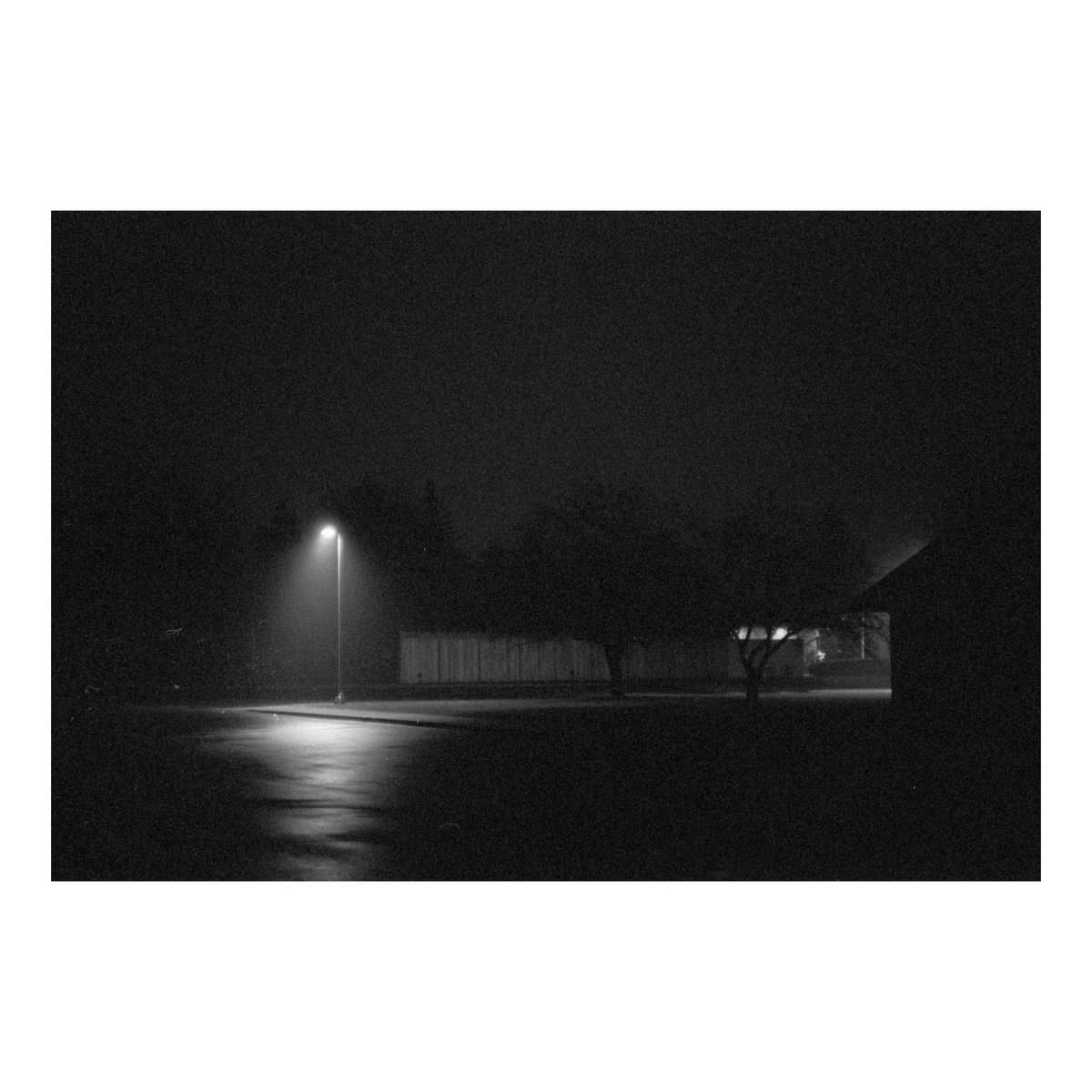 fslash12's tweet photo. Christmas day walk, camera, fog, some jazz, and no stickup kids to worry about
#blackandwhitephotography #highcontrast #documentaryphotography #leicam4p #tmax3200 #d76 #35mm #filmphotography #analogphotography #belleville #bellevilleontario https://t.co/Uz40D9yLZW