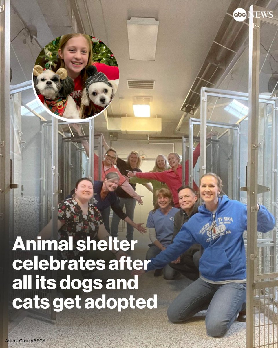 ABC's tweet photo. A Pennsylvania animal shelter is celebrating after all of its dogs and cats were adopted — just in time for Christmas.

In 2023, the Adams County SPCA says it adopted out 598 animals and reunited 125 stray animals with their owners. 

More here: https://t.co/rrNPOOcgjg https://t.co/c6pH7mHUJN