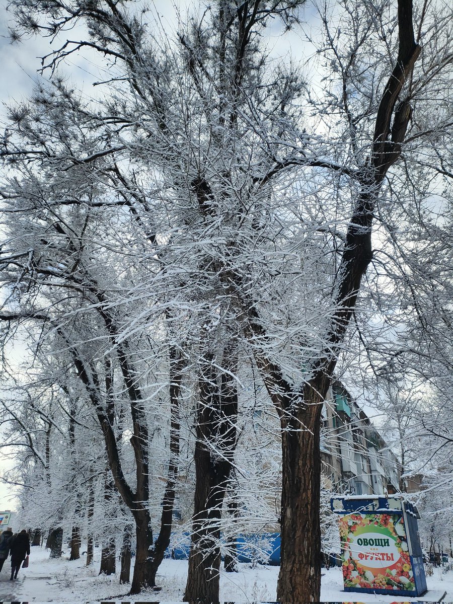 ivaa_mh's tweet photo. Буквально несколько дней назад была красота а на следующий день все растаяло и теперь температура+7.... https://t.co/4c8fKC8YCm