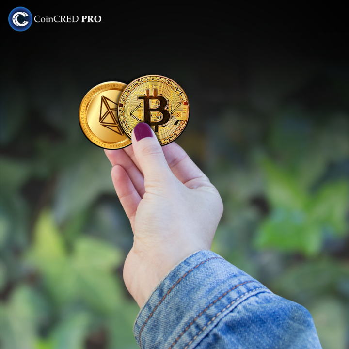 coincredsupport's tweet photo. 🎁Contest Alert 🎁:
Which one do you want in this Bull Run?
Comment below 👇and Get a chance to win one🎁
#BULLRUN2024 #EveryActionCounts #AirDrop #ImportantWeek #Christmas