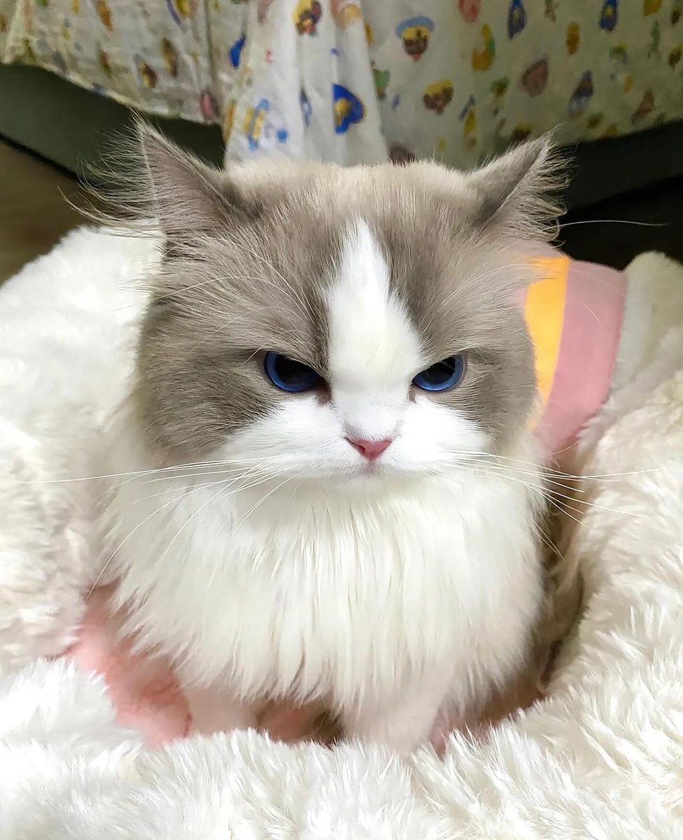 Tôi muốn gặp một người bạn phụ nữ thích nấu ăn và cùng nhau chia sẻ những công thức và món ăn ngon.