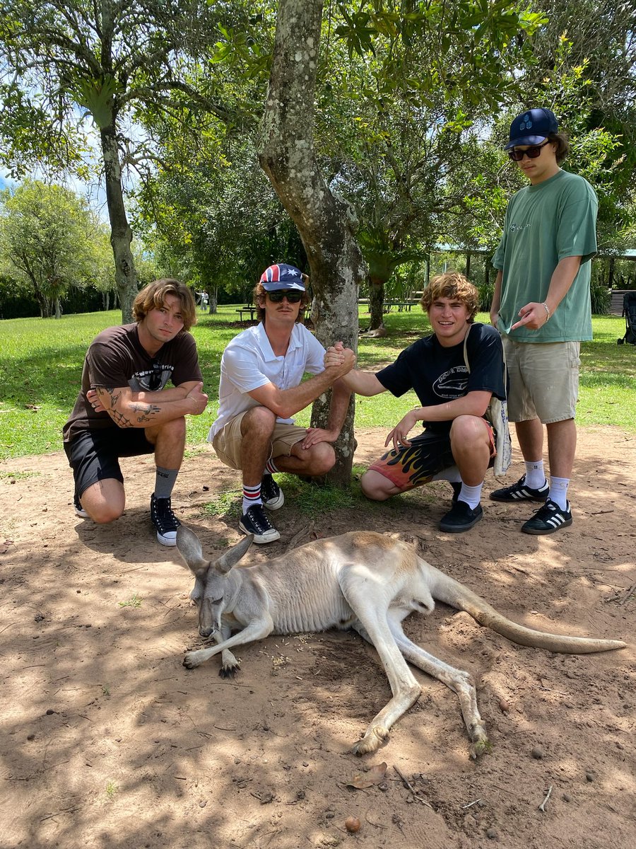 We’ve landed in Aus 🇦🇺🇦🇺 Found some kangaroos and ate some meat pies 🤝🤝 Sunshine Coast tomorrow !! Link for tix sunroomtheband.com