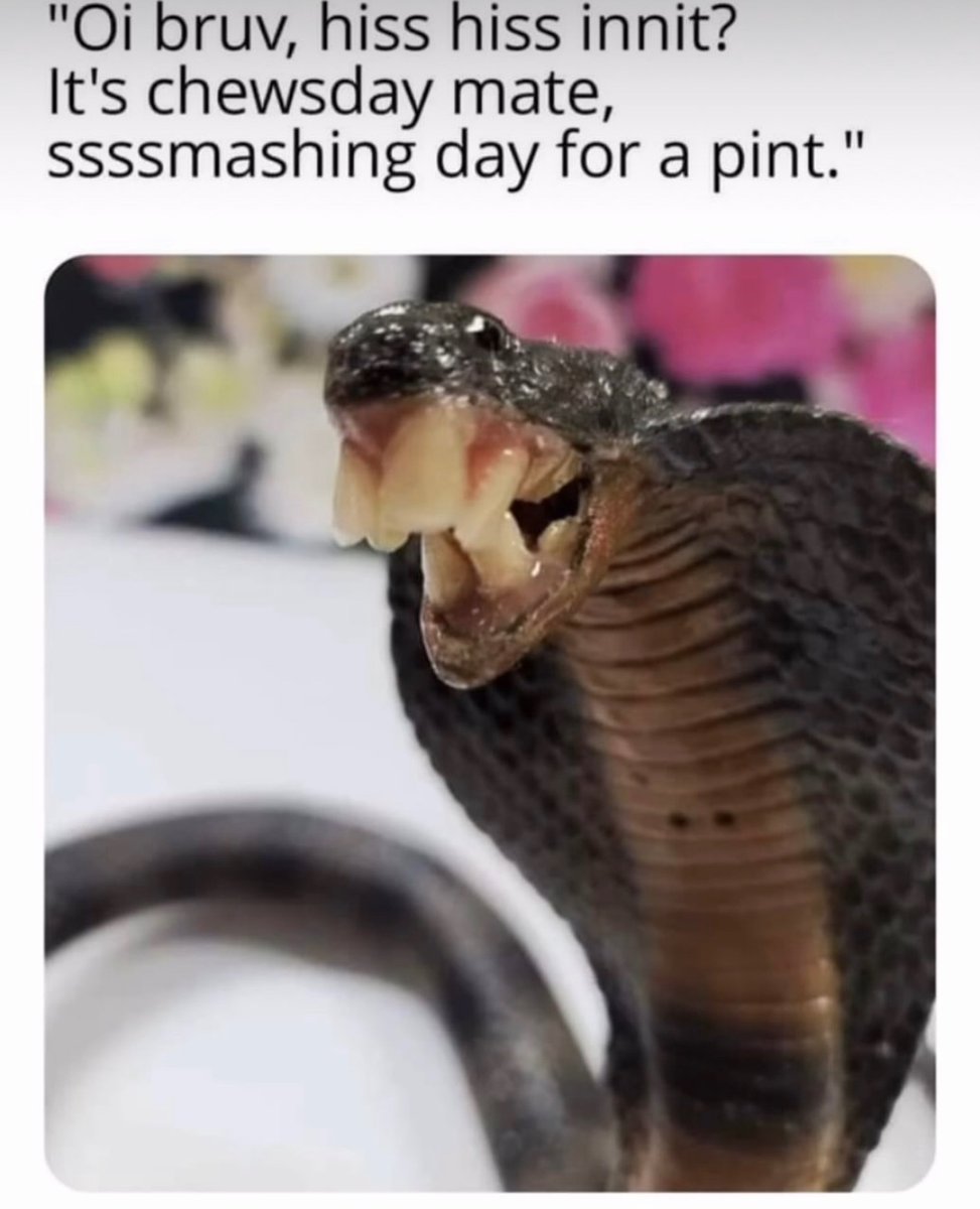 stxrinsky's tweet image. 