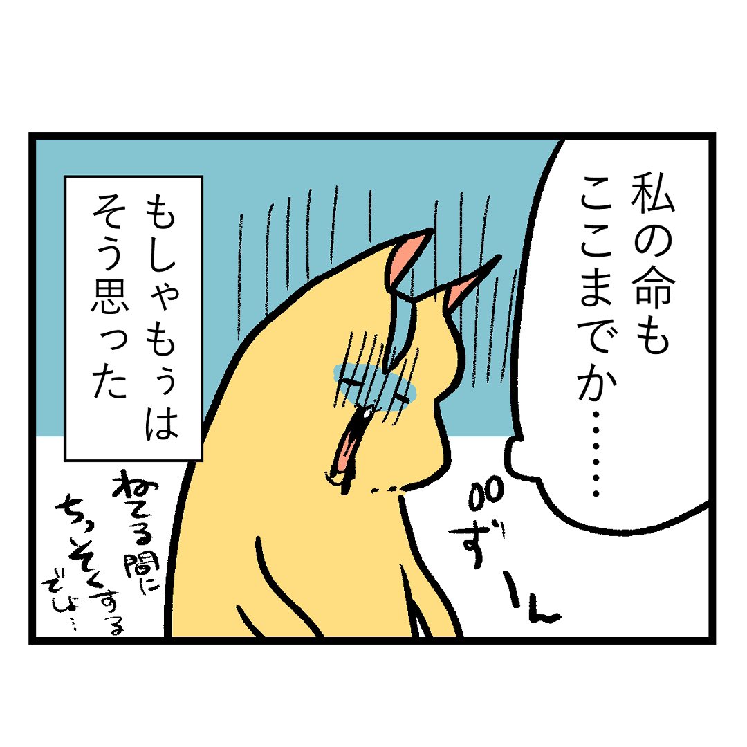 七色のGERO吐けますか?激烈つわり入院編【第22話】

あんなに苦しいのに対処法が無いなんて驚きました😇

#漫画が読めるハッシュタグ #もしゃ悪阻日記 
