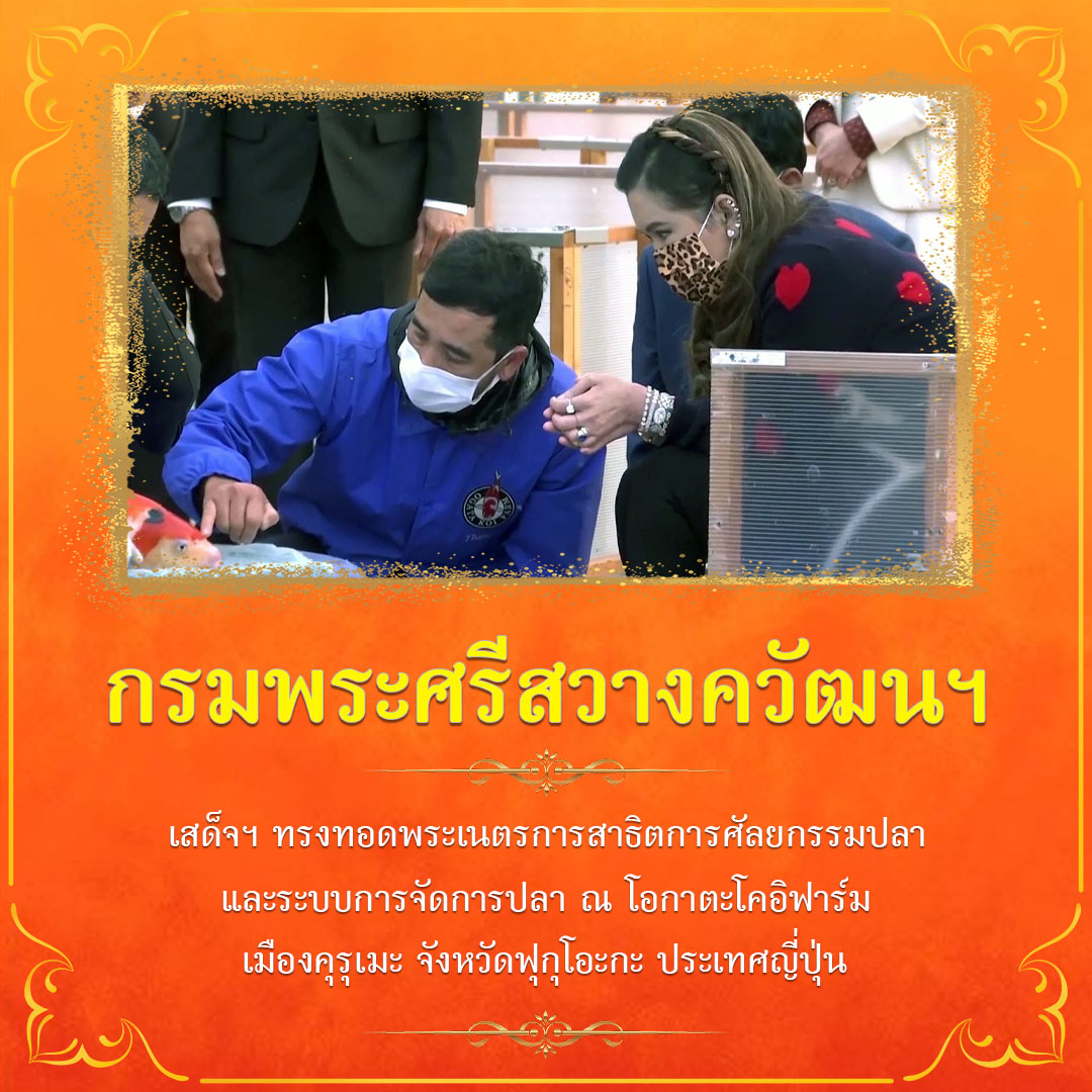 กรมพระศรีสวางควัฒนฯ
เสด็จฯ ทรงทอดพระเนตรการสาธิตการศัลยกรรมปลา และระบบการจัดการปลา ณ โอกาสโคอิฟาร์ม เมืองคุรุเมะ จังหวัด ฟุกุโอกะ ประเทศญี่ปุ่น
#พระราชกรณียกิจ
#เรารักสถาบันพระมหากษัตริย์ 
#น้อมรำลึกพระมหากรุณาธิคุณ 
#สืบสานรักษาต่อยอด 
#พระมหากษัตริย์ผู้ยิ่งใหญ่ของแผ่นดิน