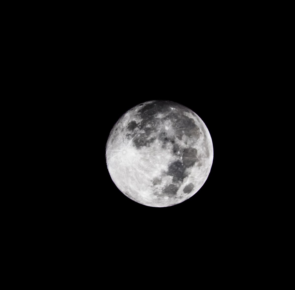 jcphotographytx's tweet photo. Such a delight to share my first time catching a full moon rising over our city. #canon80d📸  #75300mmcanon #cityscapedallas 😌 https://t.co/kSnK447dy9