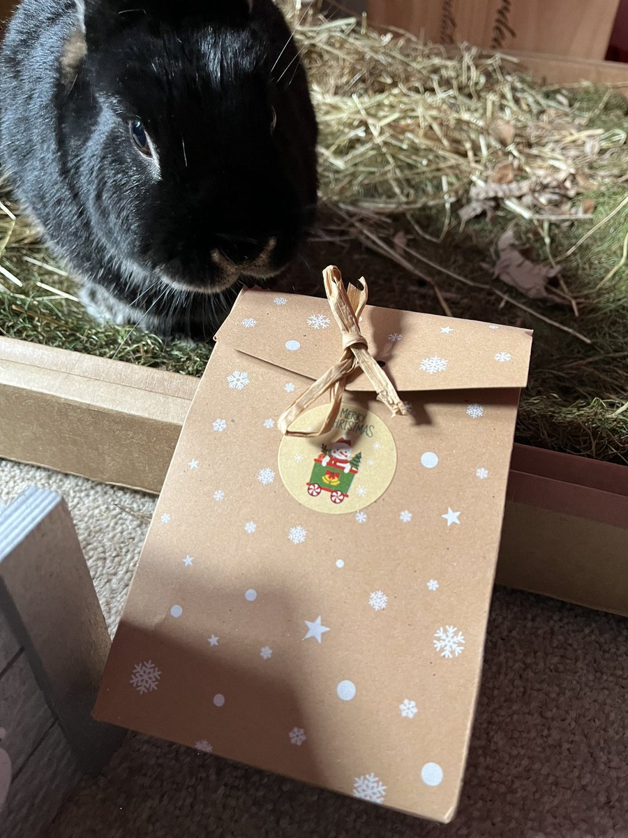 To my secret bun santa thank you sooooo much for my presents.I’ve nibbled my plantain mix already.The hoom needs to restock! Thank you!xx #bss23