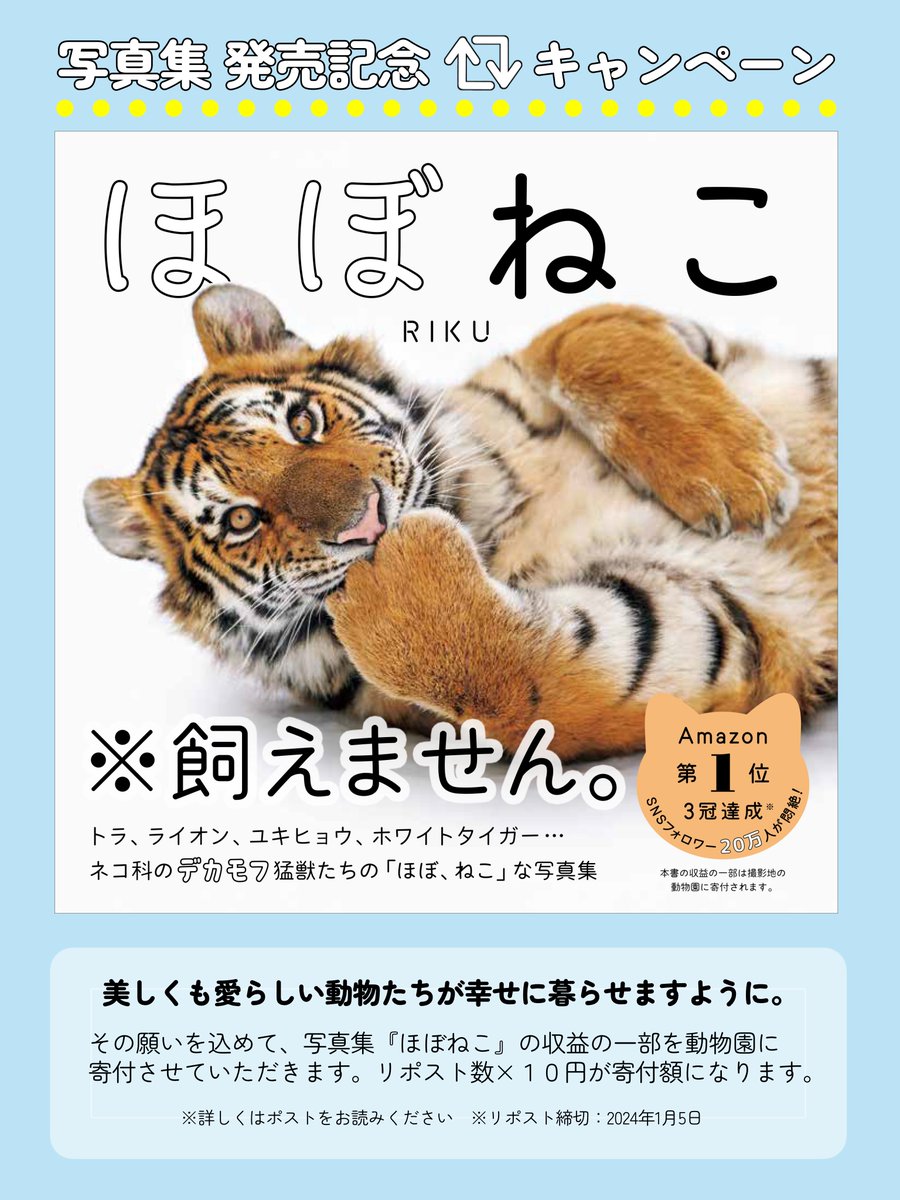 Tatsumi_Group's tweet photo. 🐱『#ほぼねこ』発売記念🐯
　🌟🌟🌟🌟🌟🌟🌟🌟
動物たちが幸せに暮らせるようにという願いを込め、写真集『ほぼねこ』の収益から、本投稿のリポ��ト数×10円を動物園に寄付させていただきます。こちらをリポストしてご参加ください。リポスト締切：2024年1月5日 23：59

写真集『ほぼねこ』発売中
著・RIKU @rikunow 
https://t.co/ld98dncJpu

詳細はこちらコチラ▶https://t.co/V3SKb7lbyR