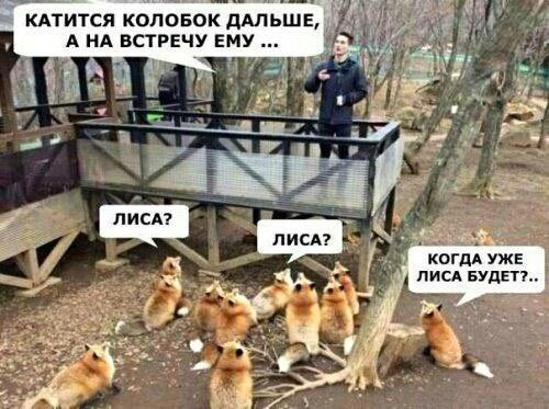 _linakiedis's tweet photo. я люблю этот мем всем сердцем https://t.co/gAbUCnrVIU