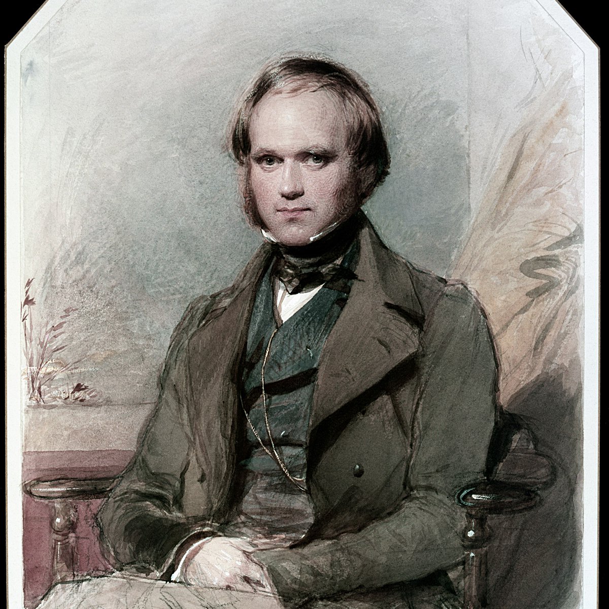 royalsociety's tweet photo. #OnThisDay in 1831, the HMS Beagle departs on its second voyage with an unknown young naturalist aboard. The ship will eventually visit the Galapagos Islands where the scientist, Charles Darwin, will begin to formulate his theories on evolution. #HistoryOfScience https://t.co/MU9iHRh1DI