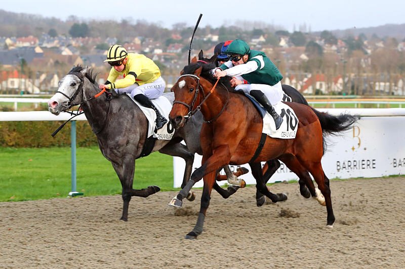 AlexPantall's tweet photo. Another 2yo winner with HAUTE GAMME (C2) by #Elvstroem at @fgdeauville / Prix de Cheffreteau
👒 Mrs Catherine Tamagni
🐎 Luka Rousseau
Photos @AprhChantilly https://t.co/eMnlj4In9H