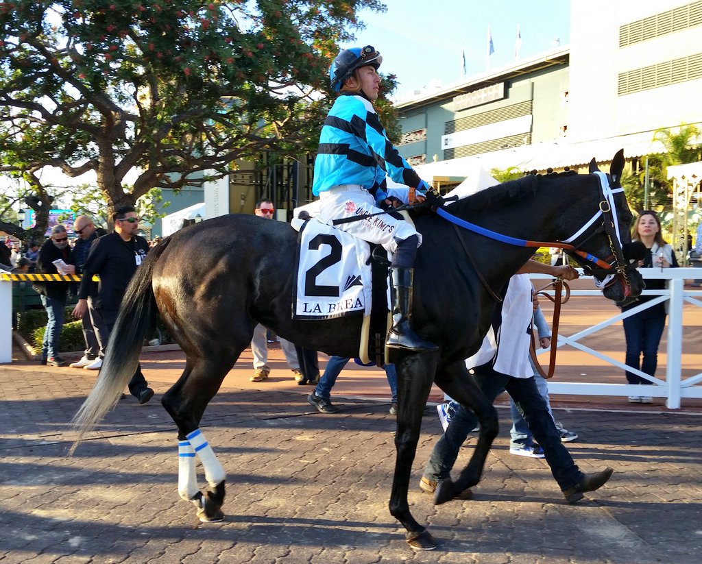 JPrusia's tweet photo. The 2023 Grade I La Brea Stakes goes to Daddysruby and jockey Juan Hernandez.
.
.
#SantaAnita #SantaAnitaPark #TheGreatRacePlace #ArcadiaCalifornia #HorseRacing #Thoroughbreds #ClassicMeet #LaBreaStakes #Daddysruby #JuanHernandez #PeterMiller #Jethorse #GaryBarber #WachtelStable https://t.co/4cIzUMa8yX