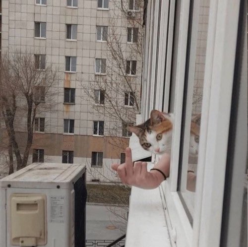 paarbier's tweet photo. Moin Gemeinde 🥱
Mittwoch also. Nun gut .. begrüßen wir den Tag mit stolz erhobenem Mittelfinger. Und mit Kaffee ☕️☕️☕️
Bis später 👋 https://t.co/UHnLSfAysX
